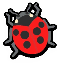 ladybug