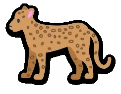 leopard