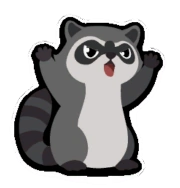 racoon