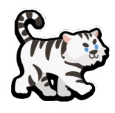 white tiger