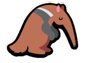 anteater