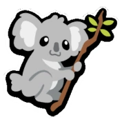 koala