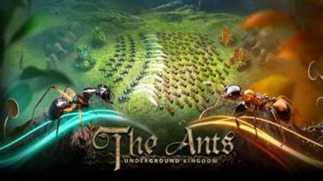 ants underground kingdom best special ants