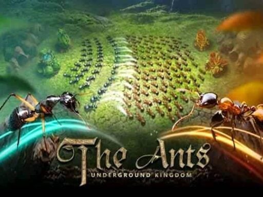 ants underground kingdom best special ants