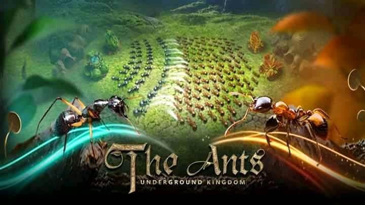 ants underground kingdom best special ants