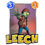 leech