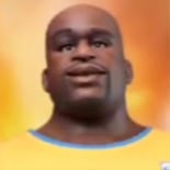 shaquile o'neal