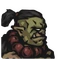rigz ash