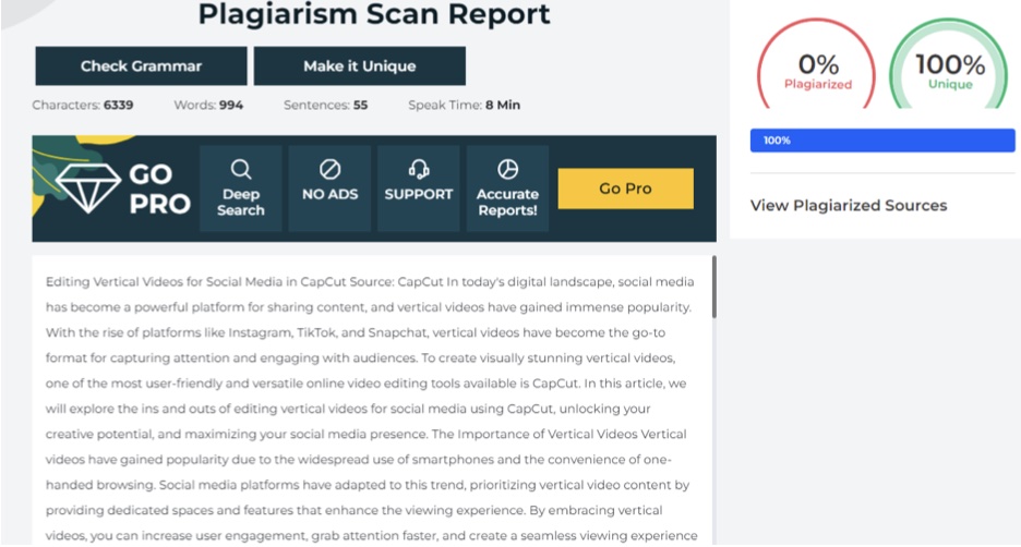 plagiarism scan report