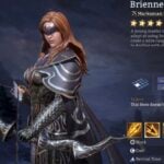 best brienne build in watcher of realms