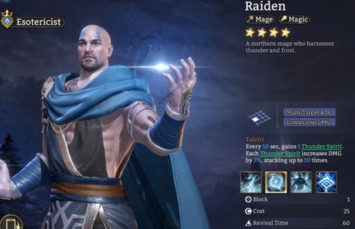 best raiden build in watcher of realms