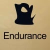 Endurance