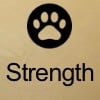 Strength