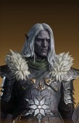 drizzt do'urden