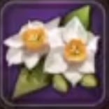 White Blessed Narcissus