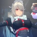 zenless zone zero best build for rina