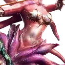 calypso