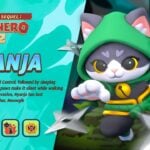 best nyanja build in archero 2