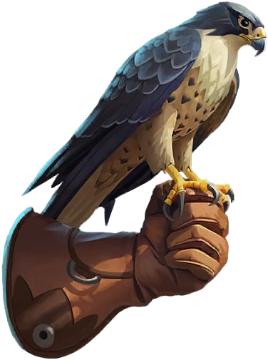 Falconry Glove