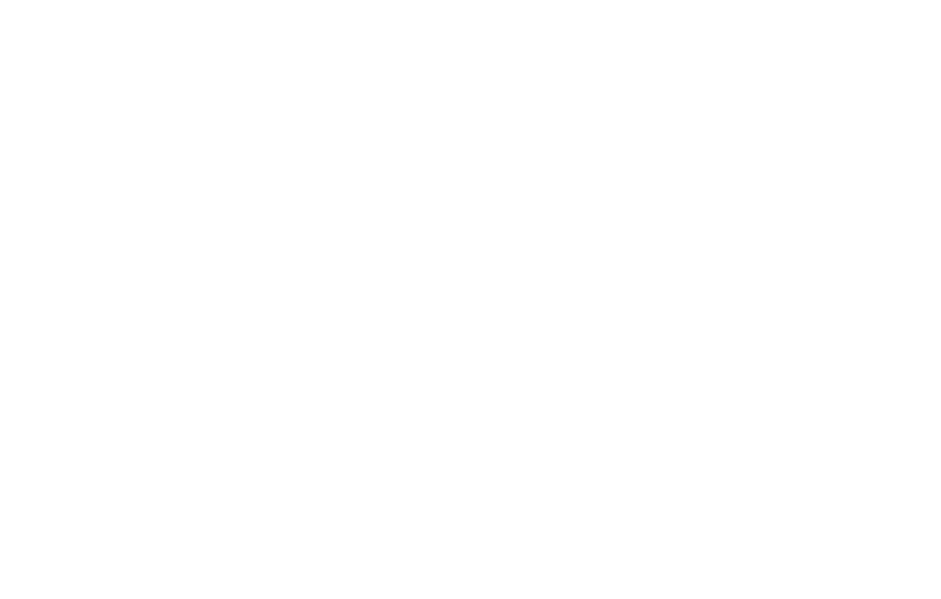 Racing Master Icon