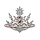 Fairy Kings Crown
