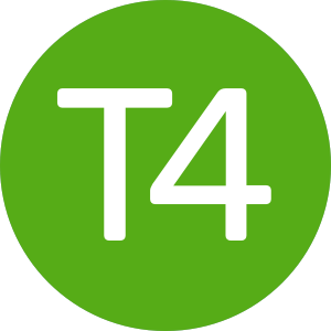 T2
