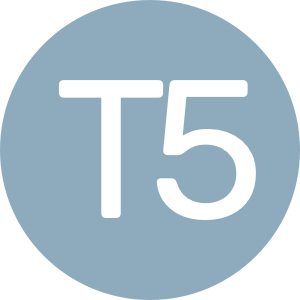 T1