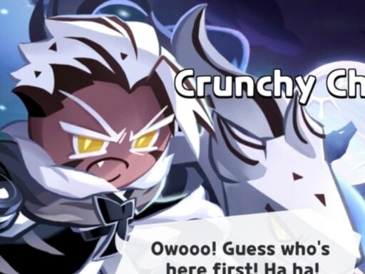 best chrunchy chip cookie build