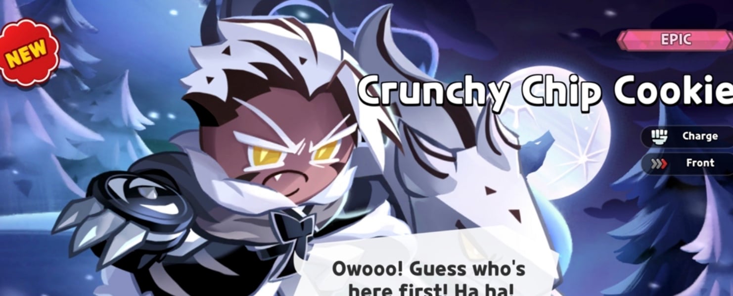 best chrunchy chip cookie build