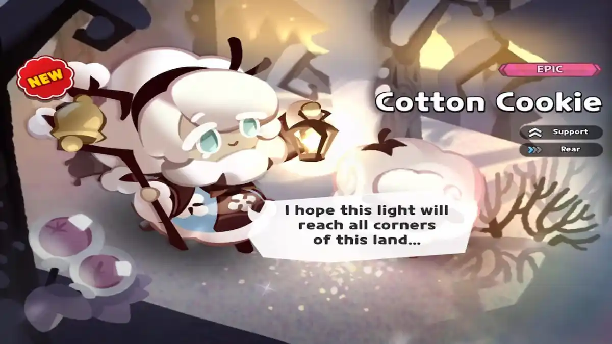best cotton cookie build