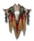 Skinwalkers