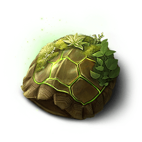Giant Turtle Offsprings Shell