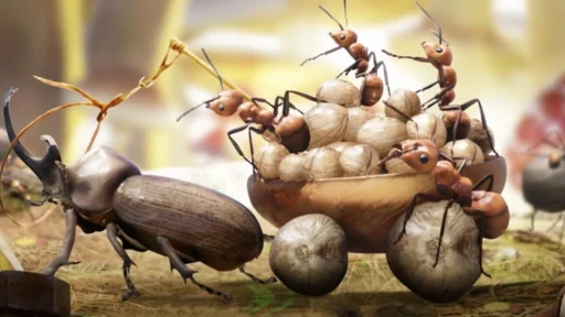 ants underground kingdom insects and insect habitat guide