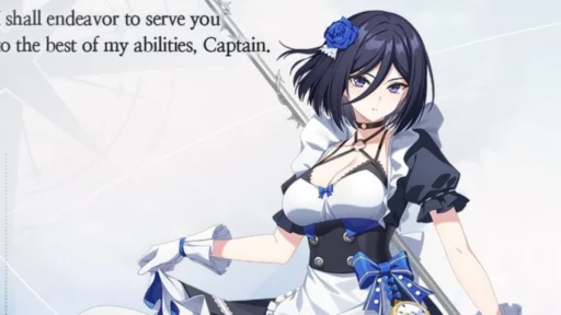 star savior best stellar sigil blooming claire build